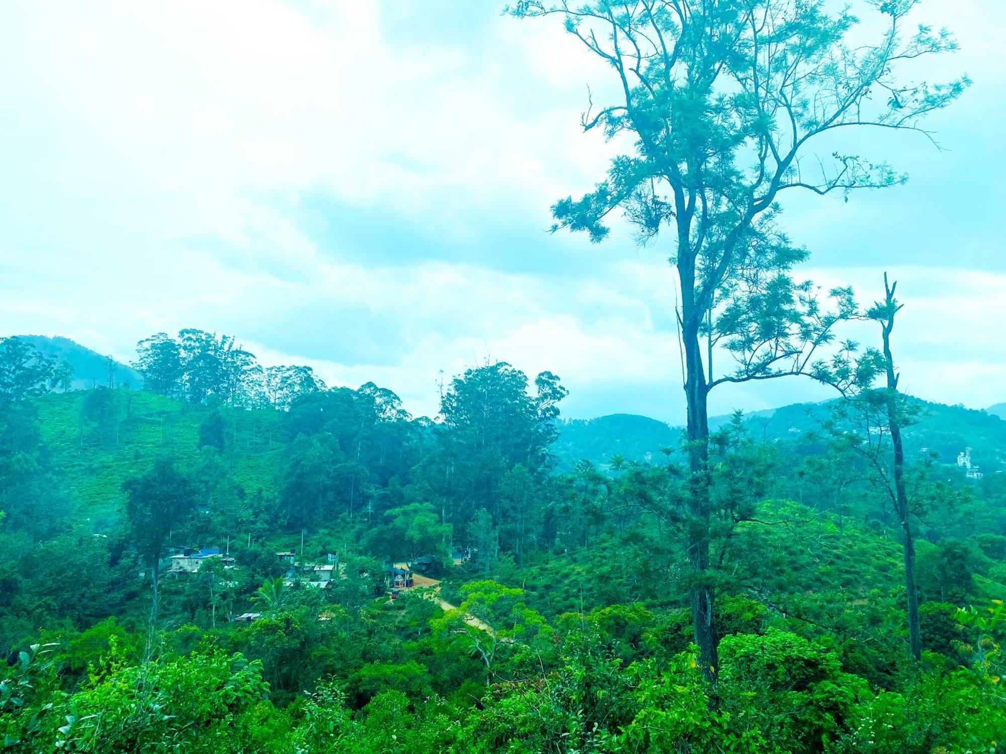 Nine Arch Homestay เอลลา ภายนอก รูปภาพ